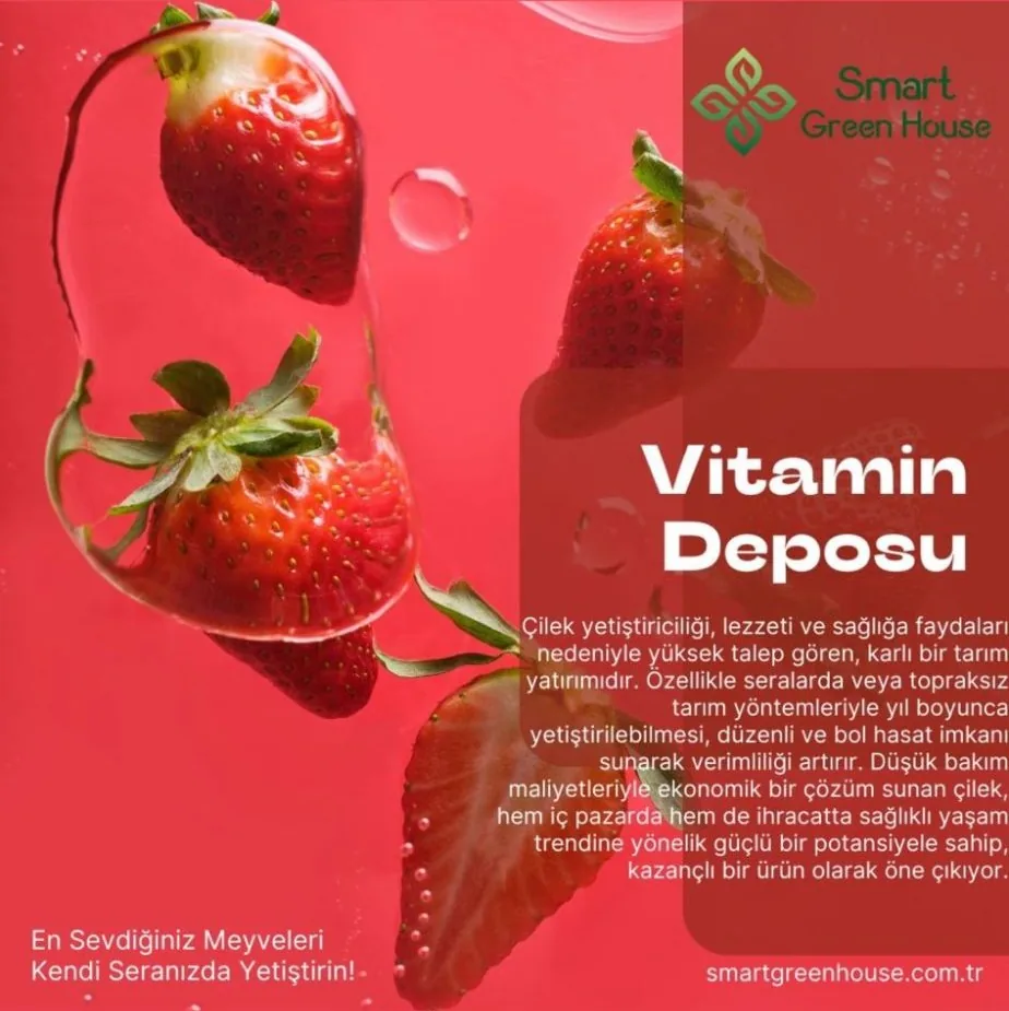 VITABERRY
